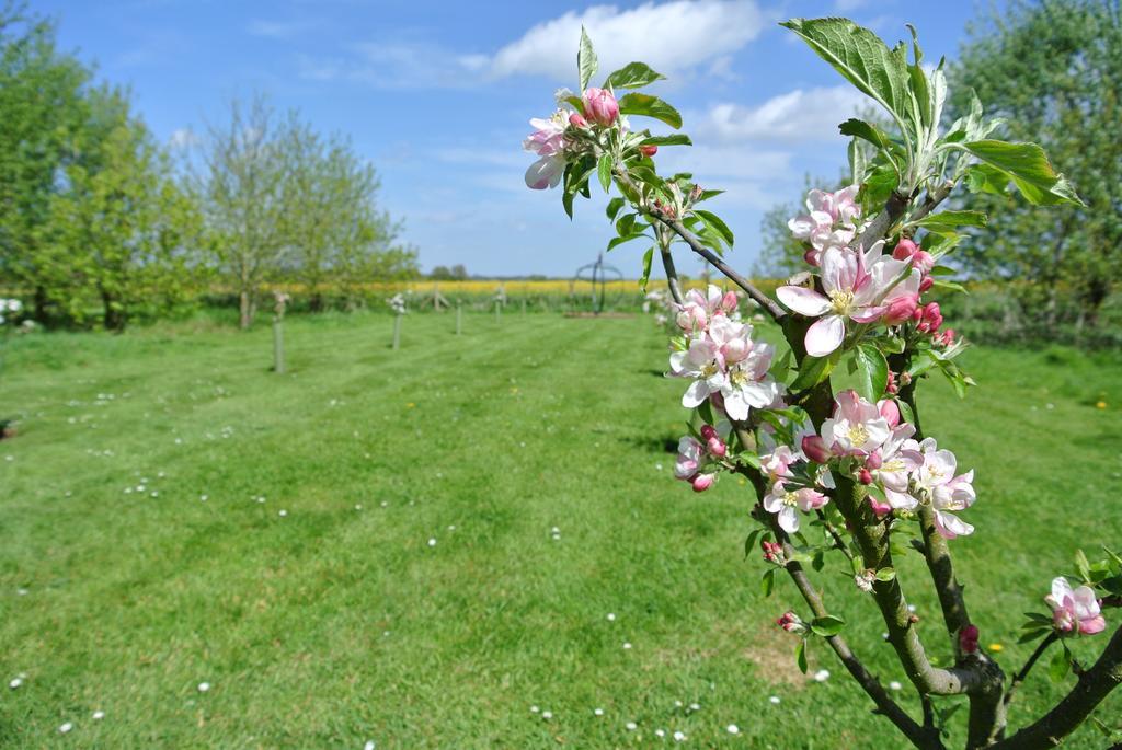 Frith Farm House Cottages Newnham  Pokoj fotografie